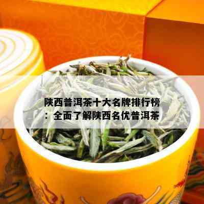 陕西普洱茶十大名牌排行榜：全面了解陕西名优普洱茶