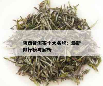 陕西普洱茶十大名牌：最新排行榜与解析