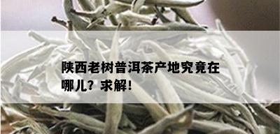 陕西老树普洱茶产地究竟在哪儿？求解！