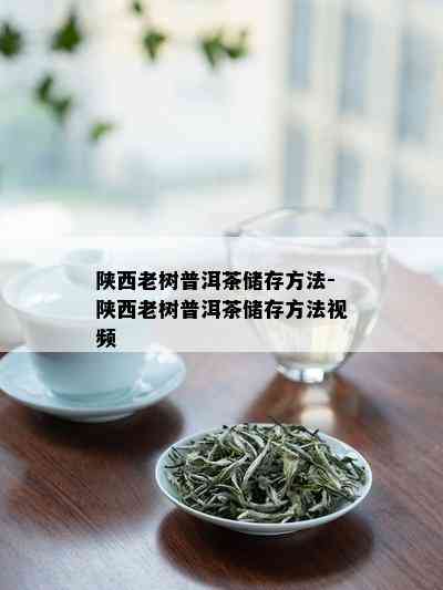 陕西老树普洱茶储存方法-陕西老树普洱茶储存方法视频