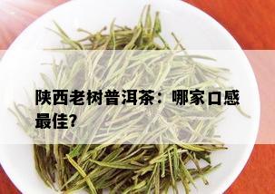 陕西老树普洱茶：哪家口感更佳？