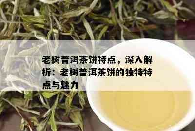 老树普洱茶饼特点，深入解析：老树普洱茶饼的独特特点与魅力