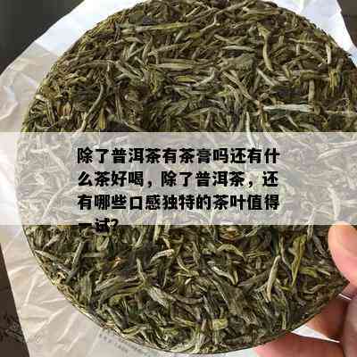 除了普洱茶有茶膏吗还有什么茶好喝，除了普洱茶，还有哪些口感独特的茶叶值得一试？