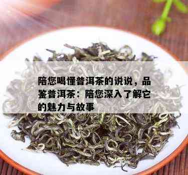 陪您喝懂普洱茶的说说，品鉴普洱茶：陪您深入了解它的魅力与故事