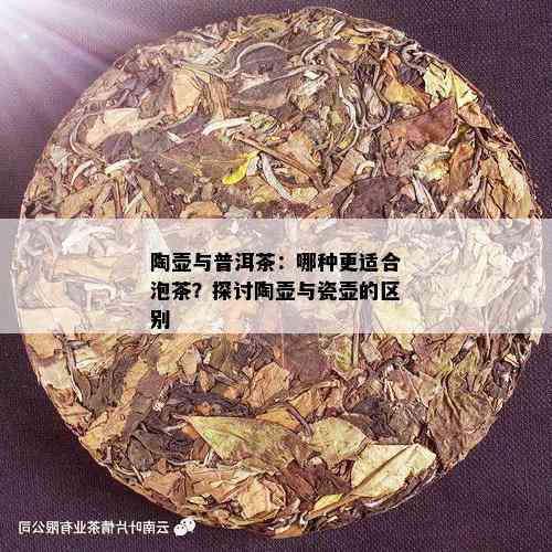 陶壶与普洱茶：哪种更适合泡茶？探讨陶壶与瓷壶的区别