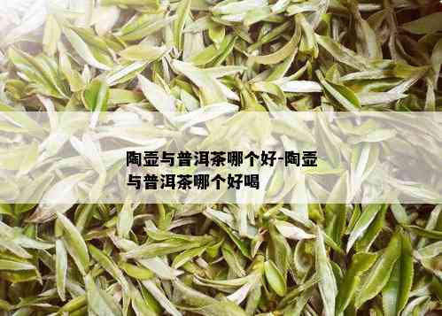 陶壶与普洱茶哪个好-陶壶与普洱茶哪个好喝