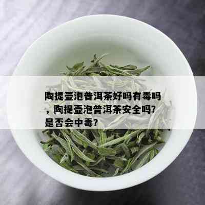 陶提壶泡普洱茶好吗有吗，陶提壶泡普洱茶安全吗？是否会中？