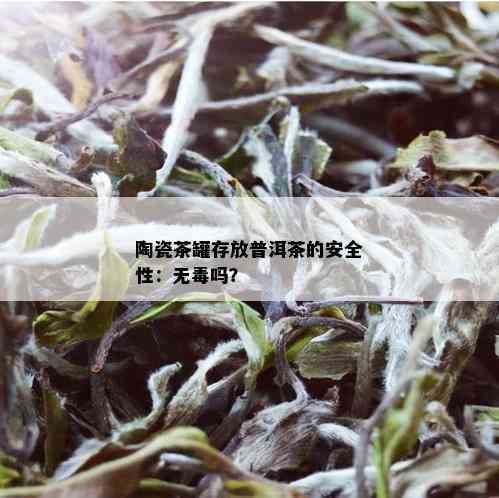 陶瓷茶罐存放普洱茶的安全性：无吗？