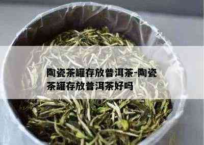 陶瓷茶罐存放普洱茶-陶瓷茶罐存放普洱茶好吗