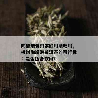 陶罐泡普洱茶好吗能喝吗，探讨陶罐泡普洱茶的可行性：是否适合饮用？