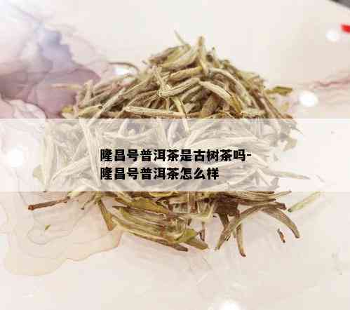 隆昌号普洱茶是古树茶吗-隆昌号普洱茶怎么样