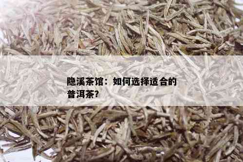 隐溪茶馆：如何选择适合的普洱茶？