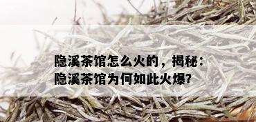 隐溪茶馆怎么火的，揭秘：隐溪茶馆为何如此火爆？