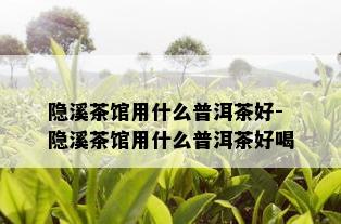 隐溪茶馆用什么普洱茶好-隐溪茶馆用什么普洱茶好喝