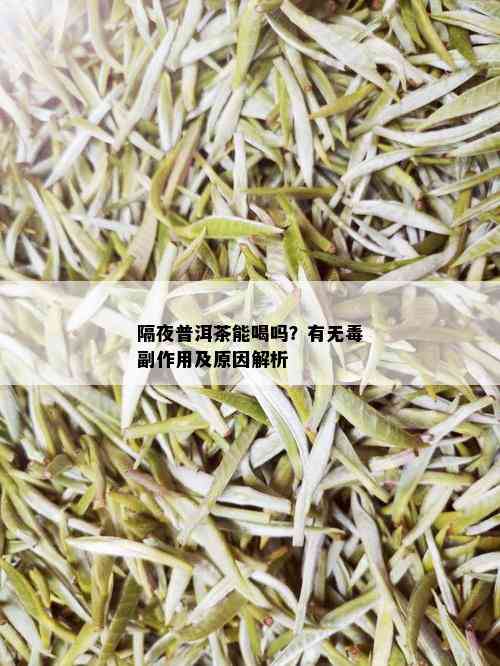 隔夜普洱茶能喝吗？有无副作用及原因解析