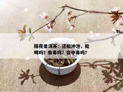 隔夜普洱茶：还能冲泡、能喝吗？有吗？会中吗？