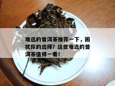 难选的普洱茶推荐一下，困扰你的选择？这些难选的普洱茶值得一看！