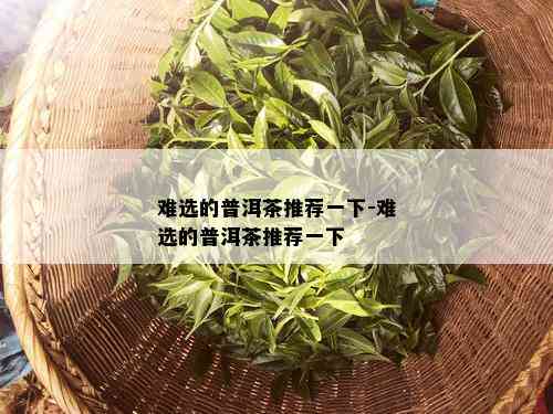 难选的普洱茶推荐一下-难选的普洱茶推荐一下