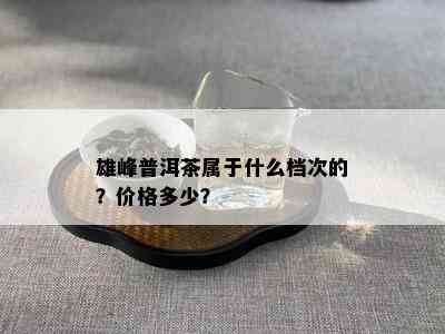 雄峰普洱茶属于什么档次的？价格多少？