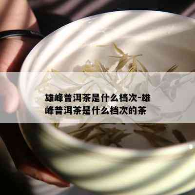 雄峰普洱茶是什么档次-雄峰普洱茶是什么档次的茶