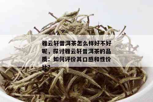 雅云轩普洱茶怎么样好不好呢，探讨雅云轩普洱茶的品质：如何评价其口感和性价比？