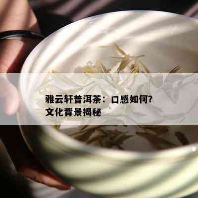 雅云轩普洱茶：口感如何？文化背景揭秘