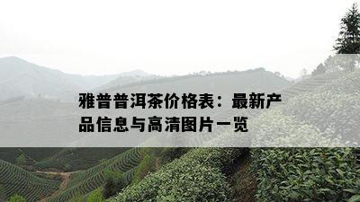 雅普普洱茶价格表：最新产品信息与高清图片一览