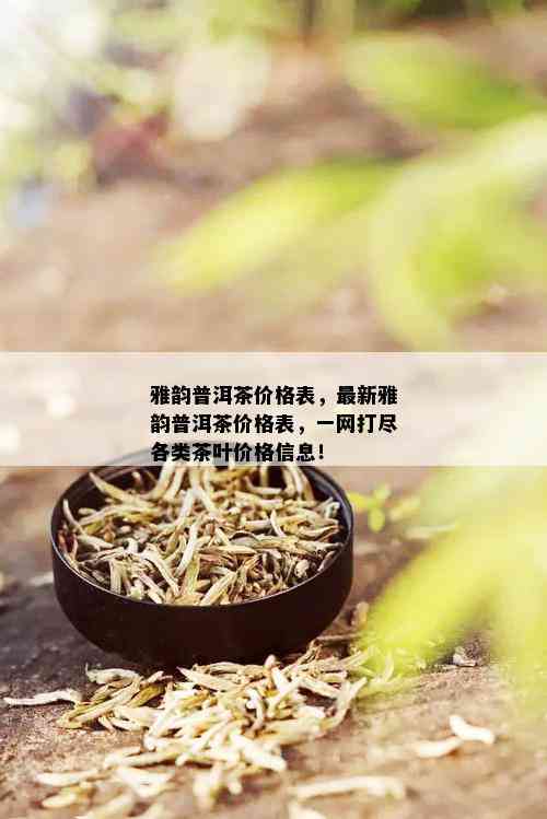 雅韵普洱茶价格表，最新雅韵普洱茶价格表，一网打尽各类茶叶价格信息！