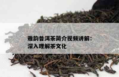 雅韵普洱茶简介视频讲解：深入理解茶文化