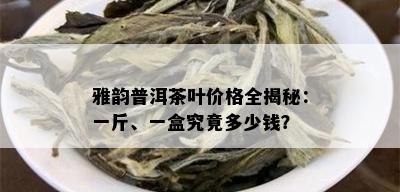 雅韵普洱茶叶价格全揭秘：一斤、一盒究竟多少钱？