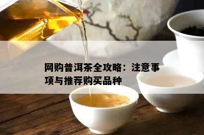 网购普洱茶全攻略：注意事项与推荐购买品种