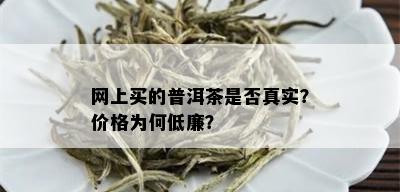 网上买的普洱茶是否真实？价格为何低廉？