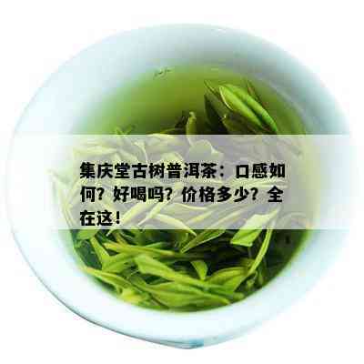 集庆堂古树普洱茶：口感如何？好喝吗？价格多少？全在这！