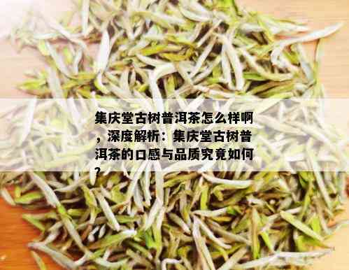 集庆堂古树普洱茶怎么样啊，深度解析：集庆堂古树普洱茶的口感与品质究竟如何？