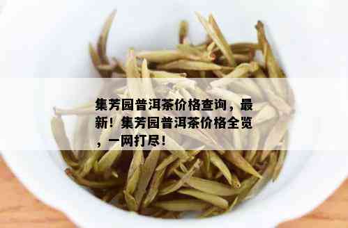 集芳园普洱茶价格查询，最新！集芳园普洱茶价格全览，一网打尽！