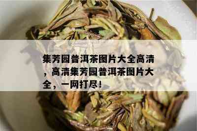 集芳园普洱茶图片大全高清，高清集芳园普洱茶图片大全，一网打尽！