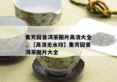 集芳园普洱茶图片高清大全，【高清无水印】集芳园普洱茶图片大全