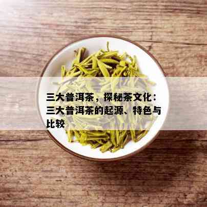 三大普洱茶，探秘茶文化：三大普洱茶的起源、特色与比较