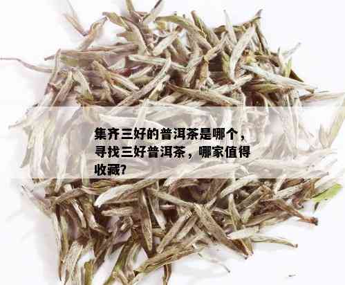 集齐三好的普洱茶是哪个，寻找三好普洱茶，哪家值得收藏？