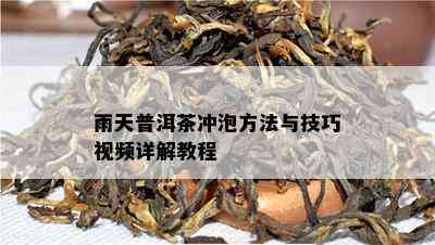 雨天普洱茶冲泡方法与技巧视频详解教程