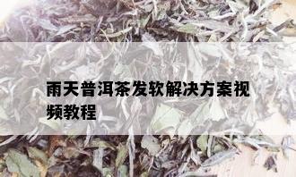 雨天普洱茶发软解决方案视频教程