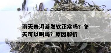 雨天普洱茶发软正常吗？冬天可以喝吗？原因解析