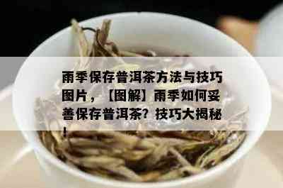 雨季保存普洱茶方法与技巧图片，【图解】雨季如何妥善保存普洱茶？技巧大揭秘！