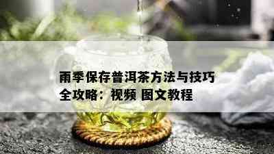 雨季保存普洱茶方法与技巧全攻略：视频 图文教程