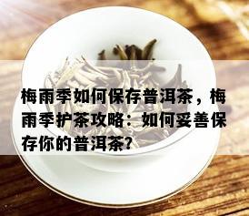 梅雨季如何保存普洱茶，梅雨季护茶攻略：如何妥善保存你的普洱茶？