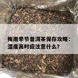 梅雨季节普洱茶保存攻略：湿度高时应注意什么？