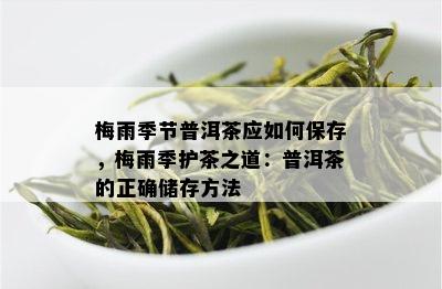 梅雨季节普洱茶应如何保存，梅雨季护茶之道：普洱茶的正确储存方法