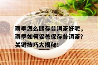 雨季怎么储存普洱茶好呢，雨季如何妥善保存普洱茶？关键技巧大揭秘！