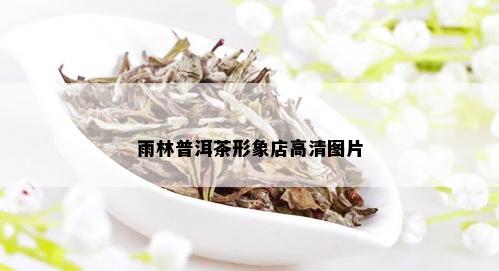 雨林普洱茶形象店高清图片