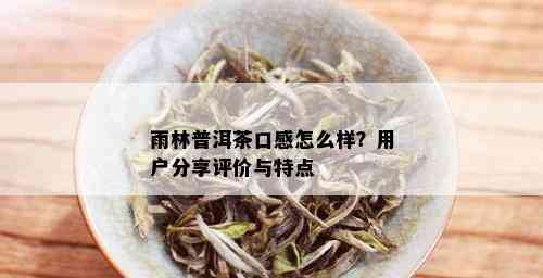 雨林普洱茶口感怎么样？用户分享评价与特点